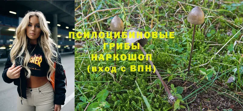 Галлюциногенные грибы MAGIC MUSHROOMS  купить   OMG как войти  Анадырь 